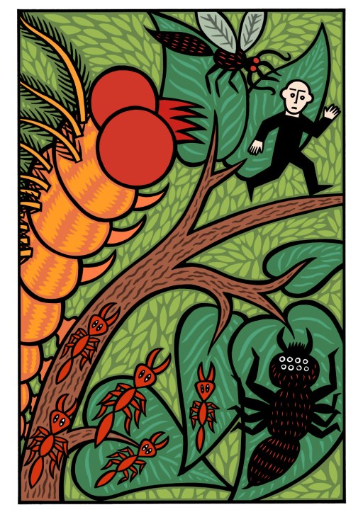 the jungle is out there. illustration