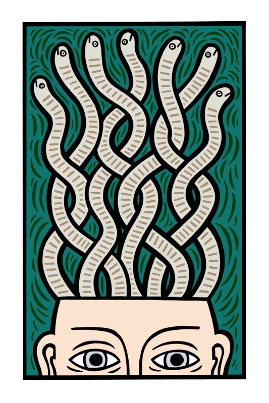 worm brains illustration