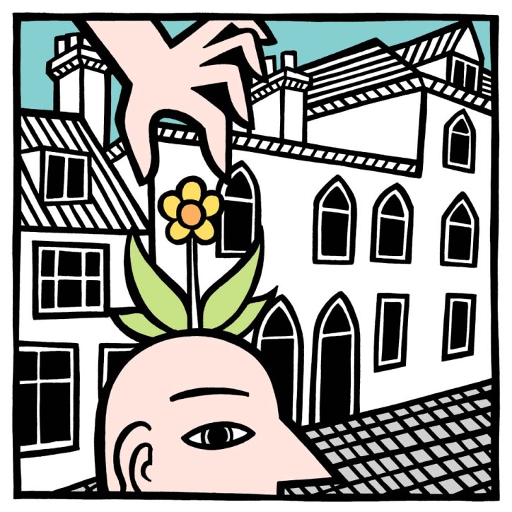 cambridge illustration