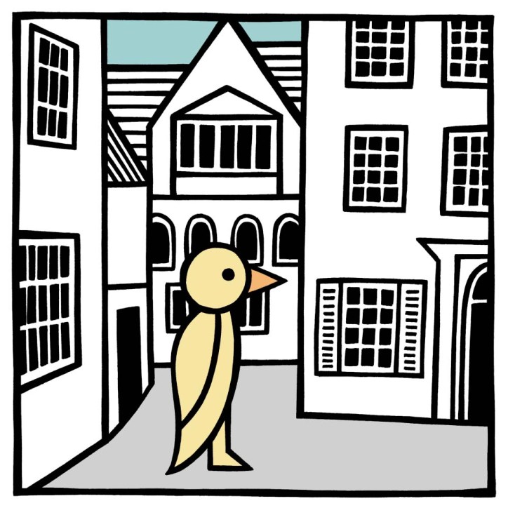 cambridge illustration