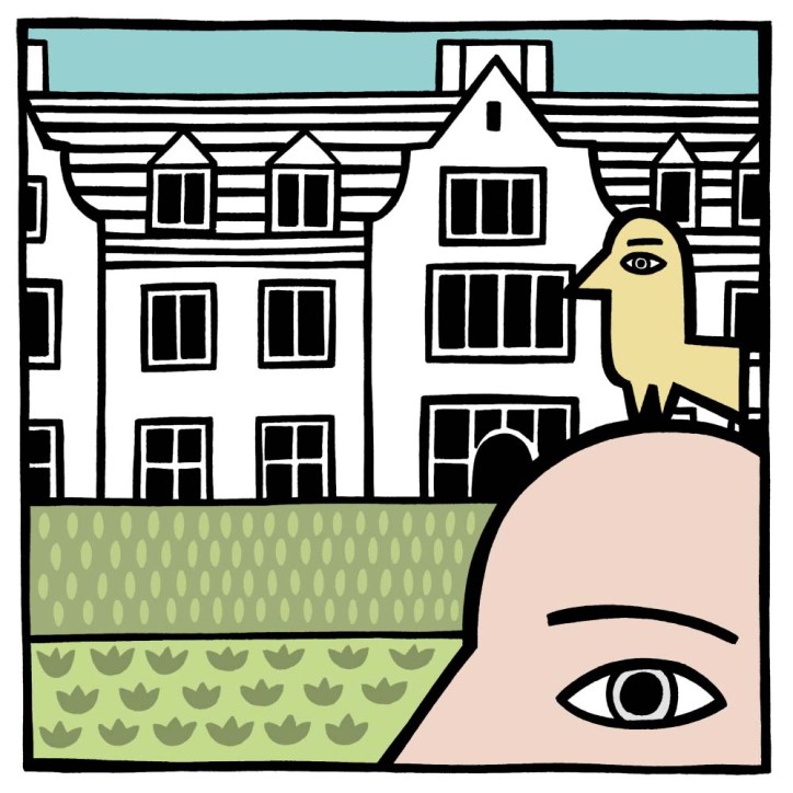 cambridge illustration